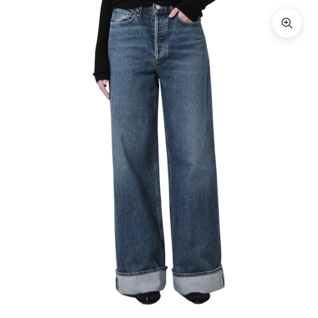 Agolde | Dame High Rise Wide Leg | Control | Size 29